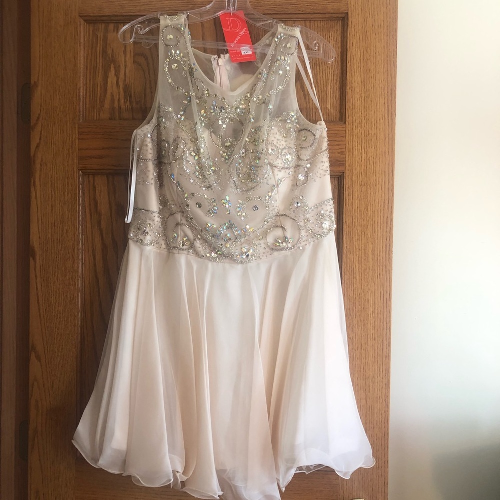 Homecoming/Formal dress